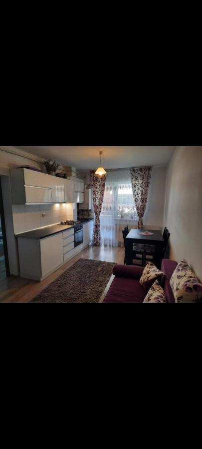 Diana Apartament Apartment บราชอฟ ภายนอก รูปภาพ